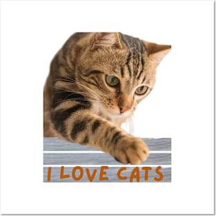 "I Love Cats" Collection. Posters and Art